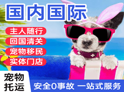 荷花机场空运国际宠物托运 【国
